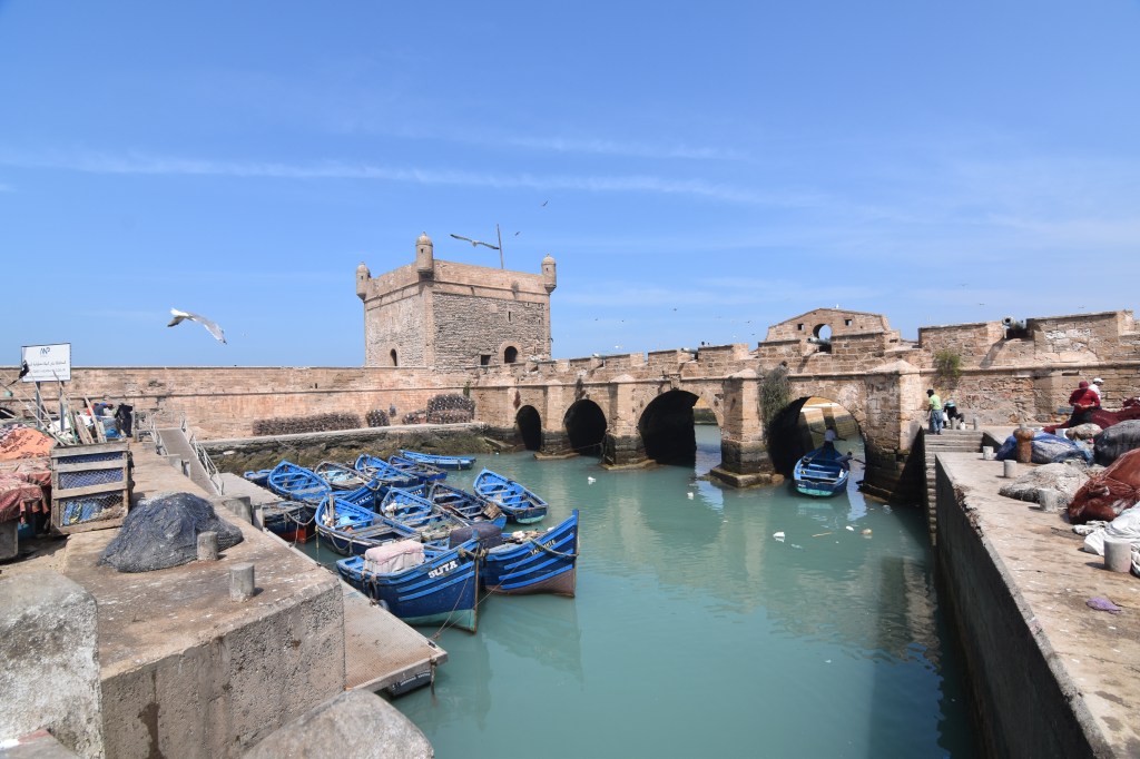 A Trip South: Part&nbsp;Deux