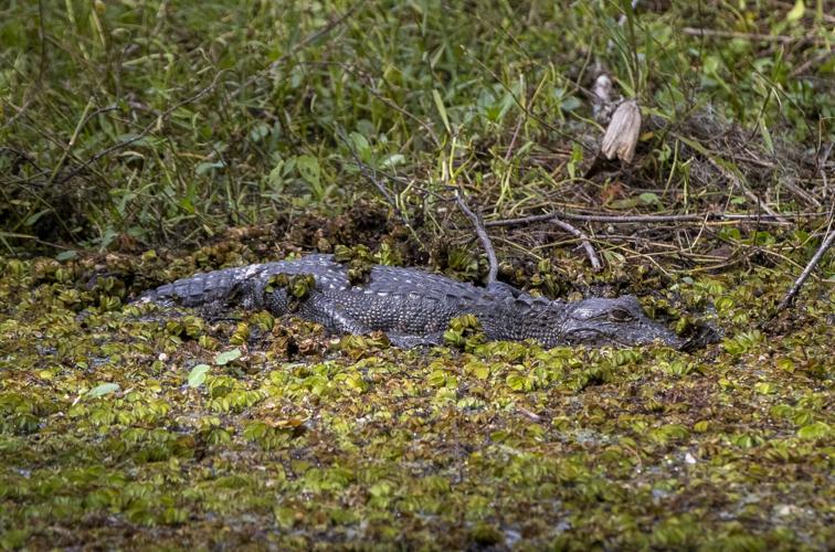 We’re meeting on front line of world’s climate challenge, in&nbsp;Louisiana