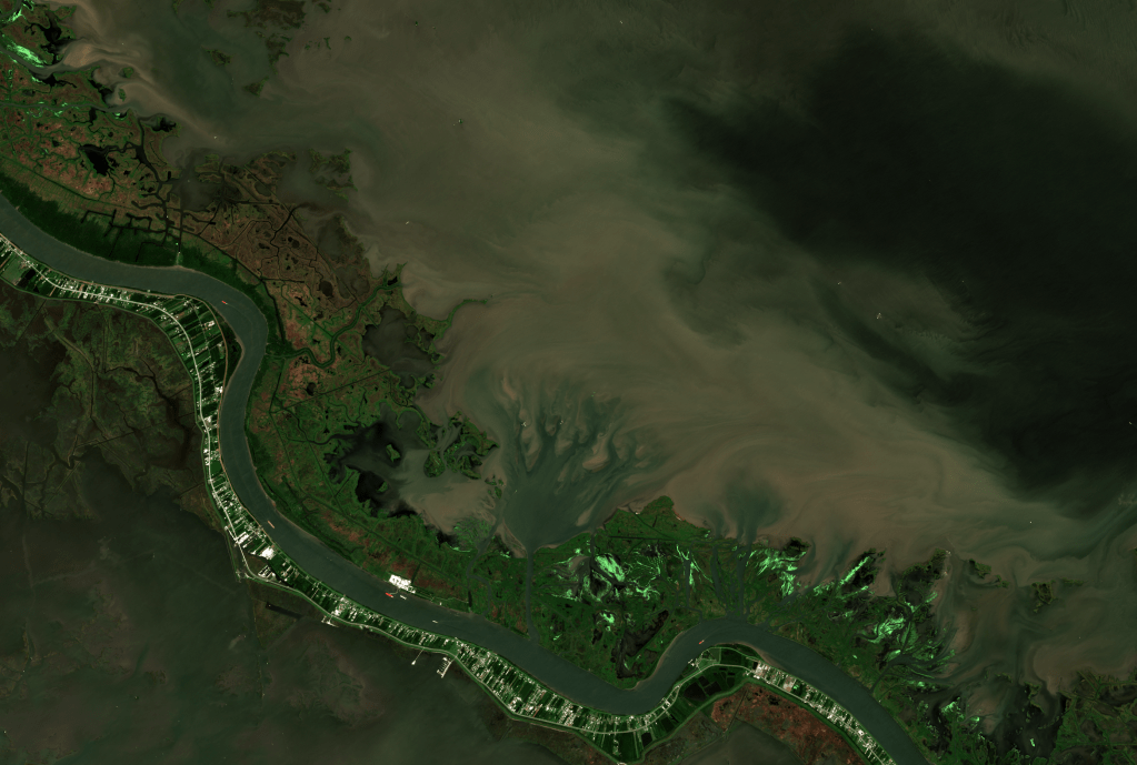 Learn More About Neptune Pass: The Mississippi River’s Largest New&nbsp;Distributary